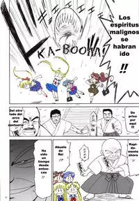 Sailor Moon Black Dog color (not full)