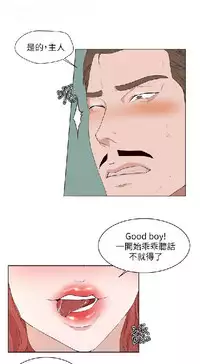 私生,爱到疯狂 完结