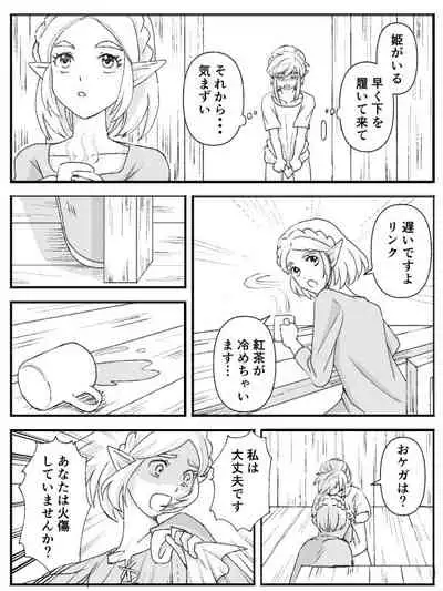 [Kodzuyu] Burewai rinzeru(The Legend of Zelda)