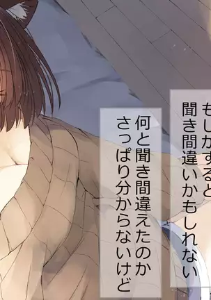 Ore no Kanojo ni wa Nekomimi ga Haeteiru