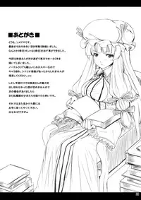 (C76) [Nounai Ekijiru (somejima)] Maid in China (Touhou Project)