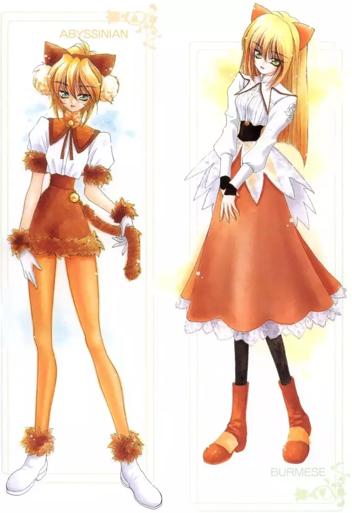 PRETTY CAT'S SHOW TIME