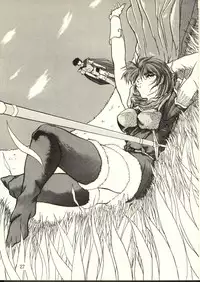 [Waku Waku Doubutsuen, Neko Apron (Various)] DIEDLIT 2 (Record of Lodoss War)