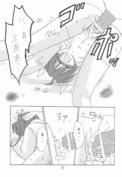 Mahou Shoujo wa Sainan nano