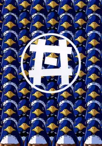 (C65) [Studio Katsudon (Manabe Jouji)] Disgaea Makai Oujo (Makai Senki Disgaea)