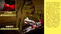 (女奥特曼)奥特战姬凌轩!绝境苦战!——强敌图鉴总集篇