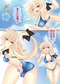 (C80) [chronicle (YUKITO)] FATE COLLECTION II (Mahou Shoujo Lyrical Nanoha)