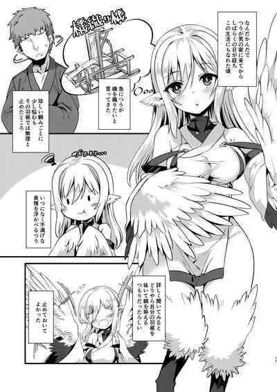 Tsuru Harpy no Ongaeshi + Kaijou Genteibon