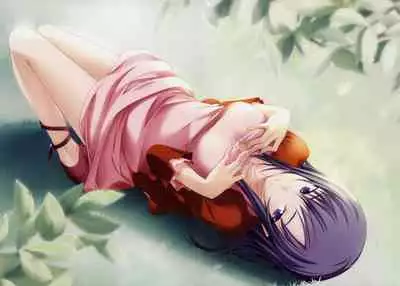 Shin Ringetsu Visual Fanbook