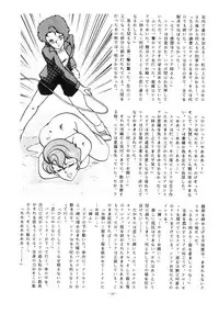 (C33) [ALPS (Various)] LOOK OUT 12 (Various)