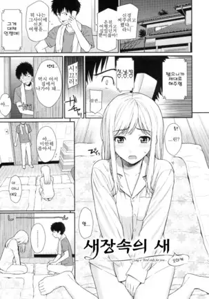 부끄러움 브레이크