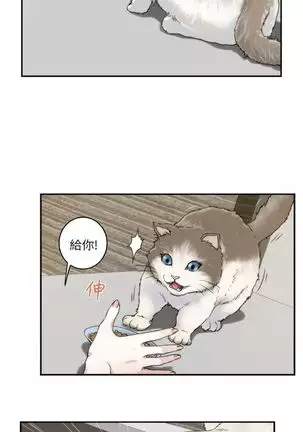 S-Mate 1-94 官方中文(連載中)
