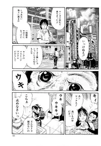 [Fujita Jun] Injuu Shanikusai