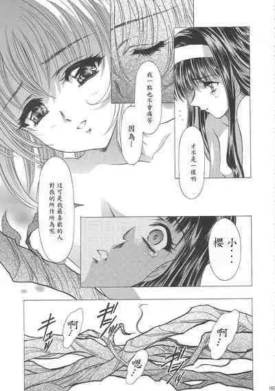 Sakura Ame Wide Ban