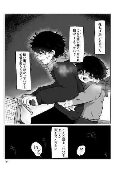 きらきらひかる