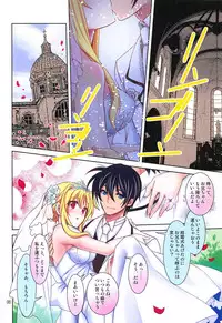 (C95) [PLUM (Kanna)] Magical SEED BRIDE All Full Color Ban (Mahou Shoujo Lyrical Nanoha)