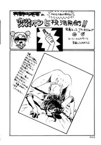 (C45) [UROBOROS (Various)] PARASELENE (Bishoujo Senshi Sailor Moon)