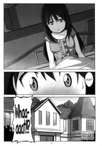 (C86) [JUNK STORY (Michairu)] PIECES (Vividred Operation) [English] =LWB=