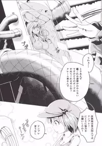 (Shuuki Reitaisai 2) [FSS (Shena Excel)] Aphrodisiac Pickled Homunculus (Touhou Project)