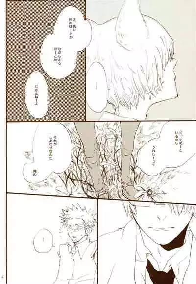 秋のユメランド