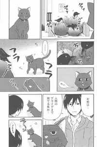 [DARKER THAN BLACK] hoshiatsume 表&裏 (mrmn)