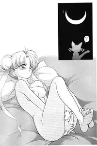 Subete Wa Yume No Sei Ni Sureba II [Sailor Moon]