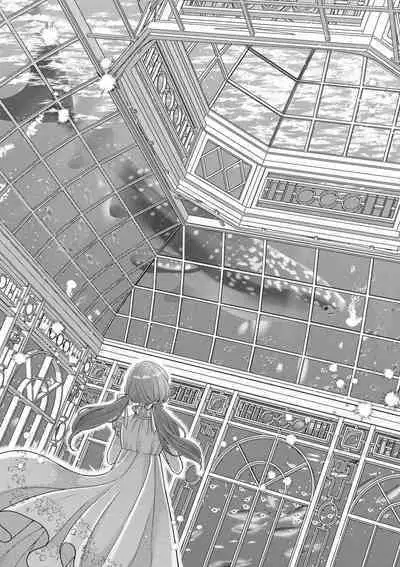 Nene to Ikoku no Mahoutsukai Isekai ni Shoukan Sareta to Omottara, Naze ka Koneko to shite Aigan Saretemasu 1-5