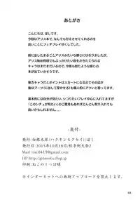 (Shuuki Reitaisai 2) [Hakuginmokusei (Poshi)] Alice ni Yokubou Decoration (Touhou Project) [English] [CGrascal]