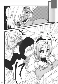 (C74) [Jipohou (Kouki Kuu)] Neko Sakari (Various)