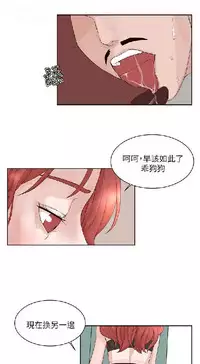 私生,爱到疯狂 完结