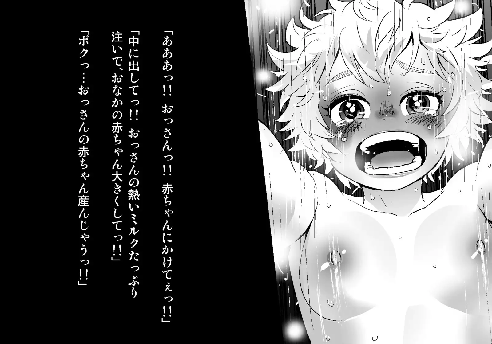 フェアリーセティ