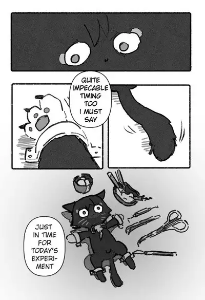 You're Amazing ▇▇▇-chan