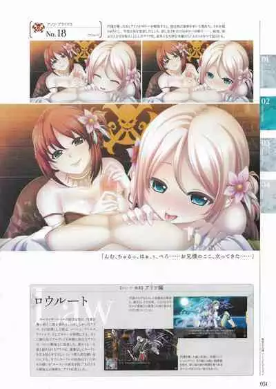 Sankai Ou no Yubiwa Perfect Guidebook