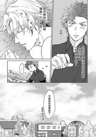 Fukurou no Koiwazurai | 猫头鹰的相思病