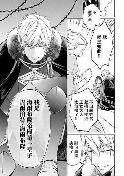 i sekai de migawari hime ni nari haō ni ubawa remashita | 在异世界成为了替身公主被霸王掳走了 1-6