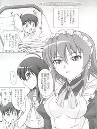 (SC38) [Brain Dead (Eiji)] N.T. no Shana wa Inran na no ka? (Shakugan no Shana)