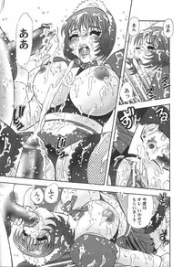 [Tomiaki Yuu] Seiyoku Maid