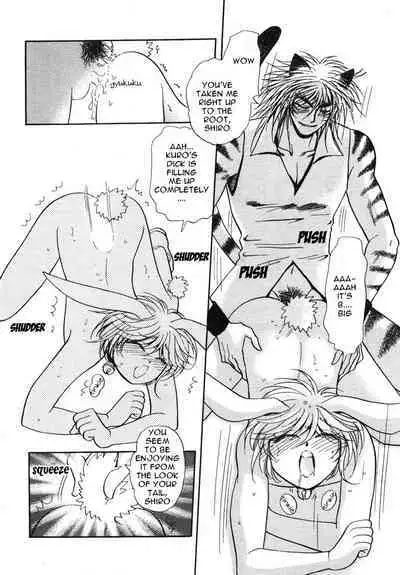 Puchi D VOL. 4 Kemonomimi