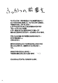 (Puniket 21) [Raiden Labo (Raiden)] Kouma Aokan (Touhou Project)