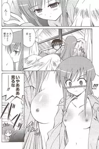 Manga Bangaichi 2009-11