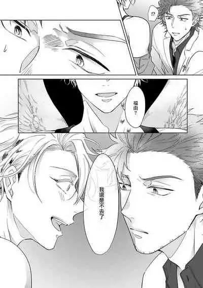 Fukurou no Koiwazurai | 猫头鹰的相思病