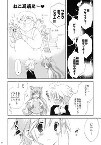 (C76) [Korisuya (Korisu)] luck-life