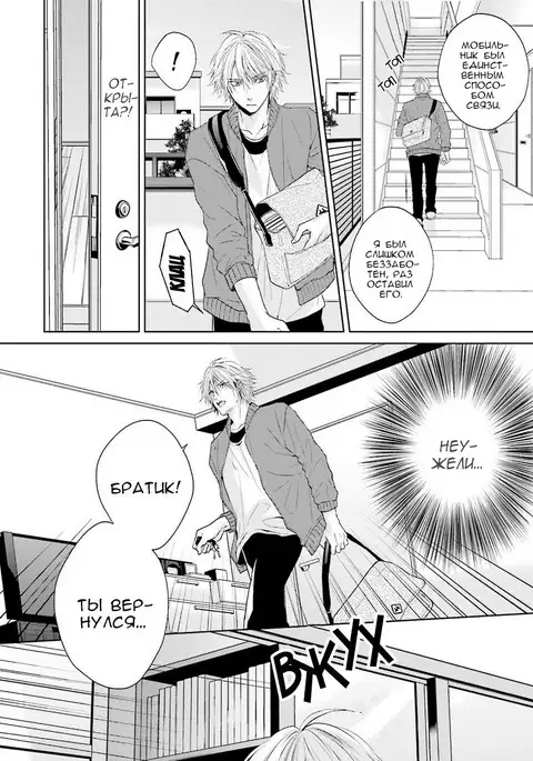 Samishii Karasu ga Oboreru Yoru