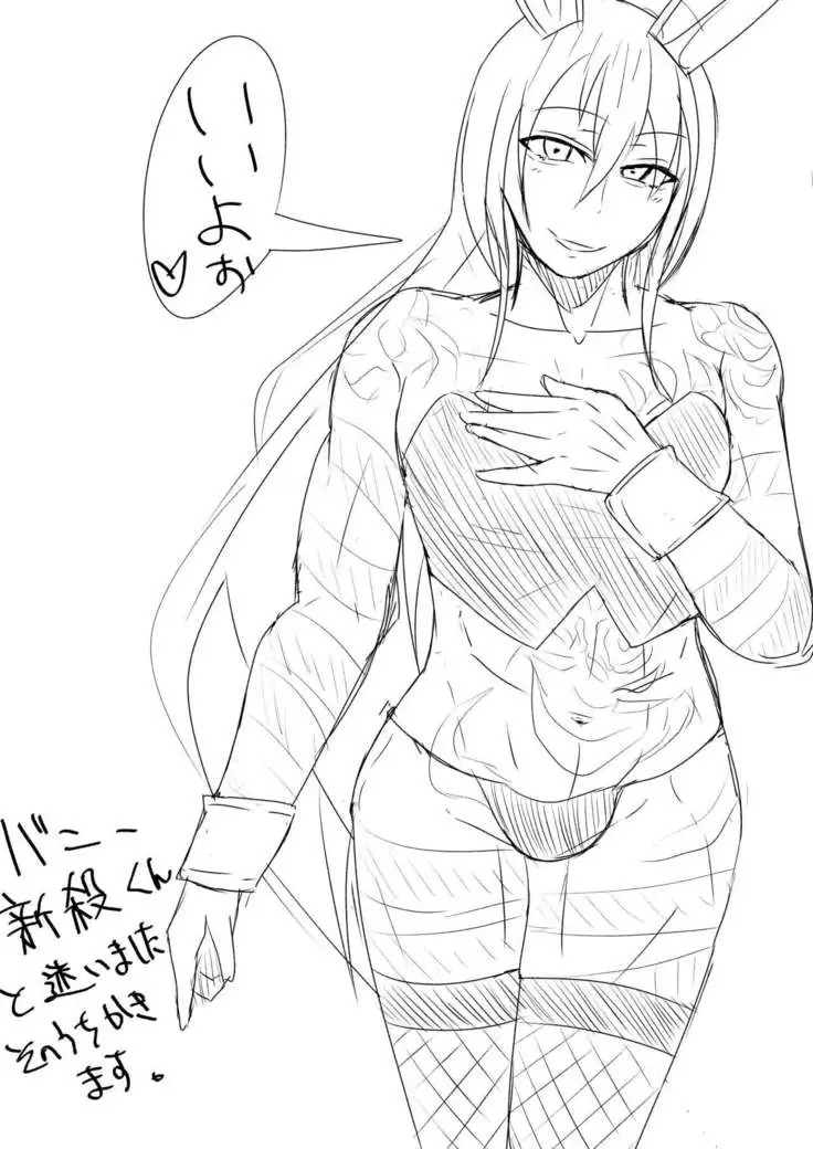 Astolfo-kun to Shinsatsu-kun to Lanling Wang-kun ga Gudao o Ijimeru Hon
