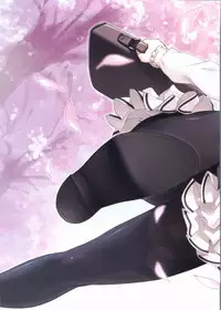 Sakura Sakura Visual Fan Book