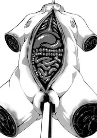 (C88) [J.O.N.G. (Sukiyo)] Kajitsu [Chinese] [巫毒汉化组]