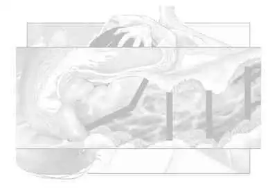 Kousai Bare, Koubu Zaseki de Netorare Choukyou