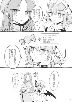 Meiling ni Kawaigarareru Sakuya-san ga Mitai Hon