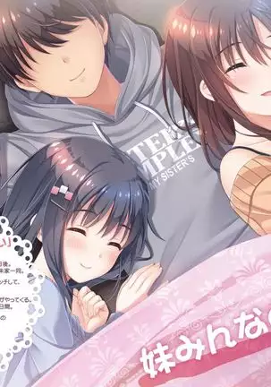 Onii-chan, Asa Made Zutto Gyu te Shite! Yoru Made Motto Ecchi Shite! Visual Guide Book