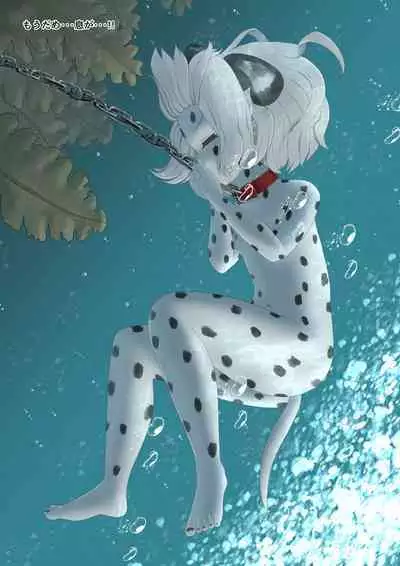 いぬ